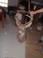 AUC 4661 A118.JPG